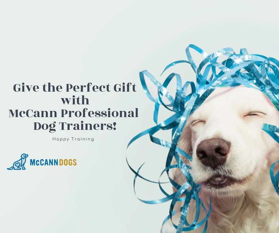 Gift Cards for In-Person Training & Retail Only