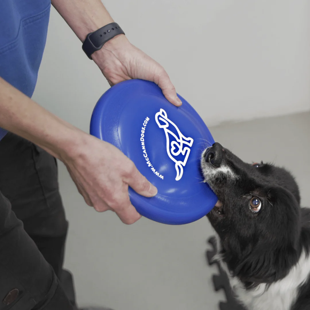 McCann Dogs Hyperflite K-10 Jawz Disc - Image 3